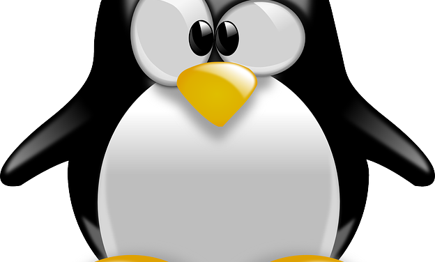 deuxième atelier informatique : Linux