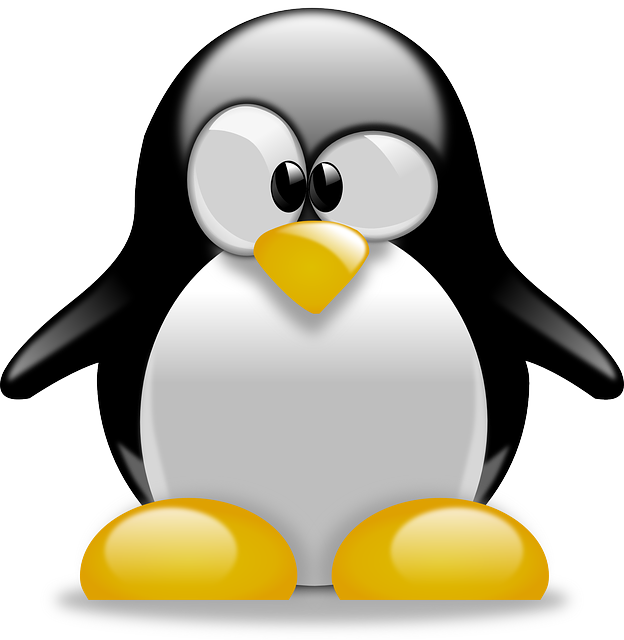 deuxième atelier informatique : Linux